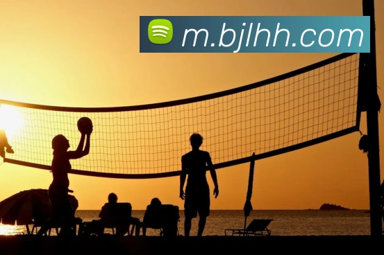 百家乐网站发展历程